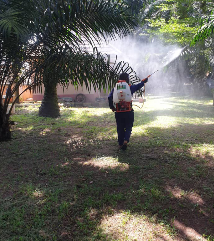 Fumigation Service