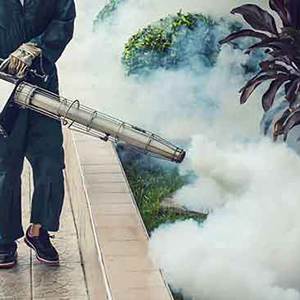 Office Cleaning Project